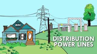 The Electric Grid Connects Us All [upl. by Hillhouse]