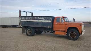 G 1631 1975 Ford F600 Dump Truck [upl. by Pape]