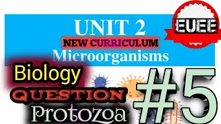 🔴Protozoa Microorganisms part 5 microorganisms biology question protozoa [upl. by Milano]