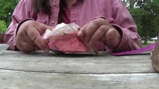 How you are trimming the hoof capsule OFF your Horses Foot [upl. by Ruthie]