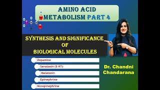 Synthesis and significance of dopamine serotonin 5 HT melatonin epinephrine norepinephrine [upl. by Mattox]