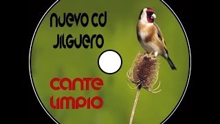 Cd Jilguero Cante Limpio [upl. by Amann]