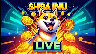 Shiba Inu Live [upl. by Lee277]