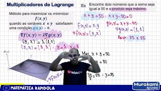 MÉTODO DOS MULTIPLICADORES DE LAGRANGE 🚨🚨 [upl. by Lael]