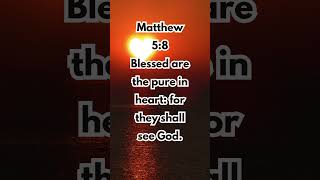 Matthew 58  Blessed Are the Pure in Heart [upl. by Naanac294]