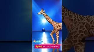 rap magic hiphop shorts human 🚶‍♀️transform into Giraffe🦒 Americas got talent giraffe 🦒🦒🦒 [upl. by Yrelle]