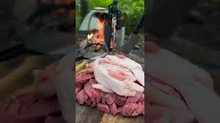 outdoor life CampingCookingCampfireCookingOutdoorCooking [upl. by Llertnauq251]