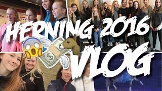 Herning Hingstekåring 2016 VLOG  Mille Jørgensen [upl. by Gaddi]