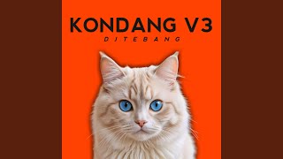 DJ Mashup Kondang V3 [upl. by Nonnaer]