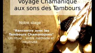 Piste de Tambours Chamaniques pour Voyager [upl. by Alilahk]