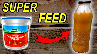 Turn Chicken Pellets into a Liquid Fertiliser Feed  Best Organic Fertiliser [upl. by Loella]