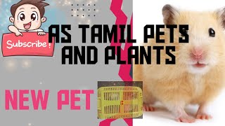 New hamster vangitom  AS Tamil Pets and Plants Tamil 8300182436 [upl. by Vikky775]