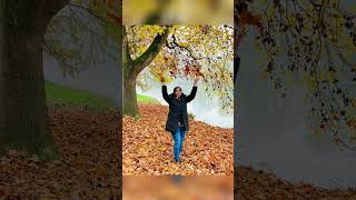 Woodlands amp River in Cliveden Estate  clivedenestate woodlands shortvideo love garden river [upl. by Ahsetan]