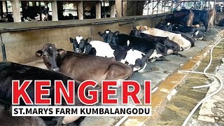 Kengeri Explore Bangalore  Cow Farm Kumbalgodu [upl. by Malinda]