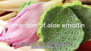 Extraction of aloe emodin [upl. by Tuckie]