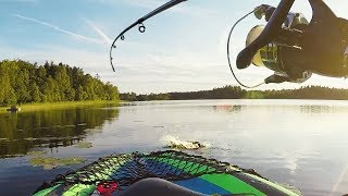 Perfect still water kayak fishing  Short clip [upl. by Latrena]