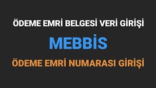 MEBBİS ÖDEME EMRİ BELGESİ VERİ GİRİŞİ  Ödeme Numarası Girişi [upl. by Mauretta]