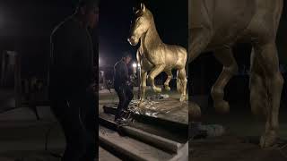 Una retocada al caballito de la finca san Miguel🐴 caballosfinos caballosespanoles caballos [upl. by Nader]