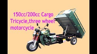 motorcycle Cargo Tricycle three wheel 150cc200cc [upl. by Avan]