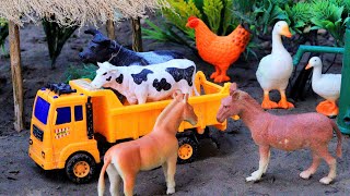 cow video funny animal video dog matikata cartoon cow cow horse cattle  Oct 11 20241059 PM [upl. by Cicily675]