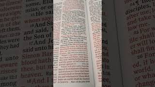 Bible Reading Matthew Chapter 16 Verse 1320 [upl. by Daitzman]