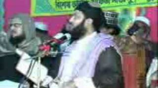 Dr Anayet Ullah Abbasi Jonpori Bahas 3 Date18012012 [upl. by Asiel]