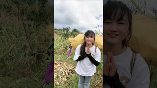 Chinas luckiest girl farmer in the world [upl. by Sucramed]