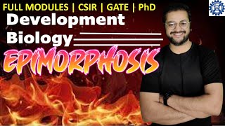 What is Epimorphosis and regeneration  epimorphosis in salamander  csir regeneration [upl. by Iolande994]