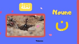 Apprendre lalphabet arabe et les noms des animaux [upl. by Tallu]