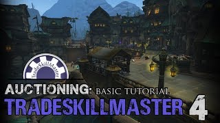 TSM4  How to Build Auctioning Operations  Beginner Friendly [upl. by Eerej442]