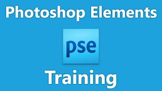 Learn about Image Size and Resolution Settings in Adobe Photoshop Elements 2023 A Training Tutorial [upl. by Kolosick]