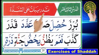 Quran Tajweed  Noorani Qaida lesson 13  How to read Arabic  Shaddah in Arabic  Alif Baa Taa [upl. by Alexi59]