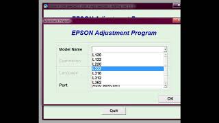 Epson L222 L220 L132 L130 L366 L365 L362 L310 L312 сброс памперса adjustment [upl. by Nhguavoj915]