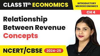 Relationship Between Revenue Concepts  Class 11 Economics  CBSE 202425 microeconomics [upl. by Hajed]