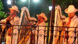 El Querreque con grupo jarocho en Coyoacán Ciudad de México [upl. by Benni]