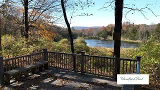 Woodland Pond Branche amp McBride Trails [upl. by Kentiggerma]