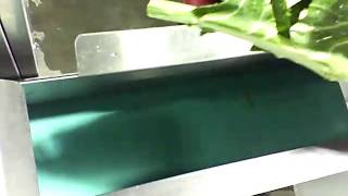 Sevenchefs Collard Greens cutting to 12quot [upl. by Sheffy639]