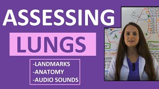 Lung Auscultation Landmarks Sounds Placement Nursing  Assessing Lungs Part 1 [upl. by Cirnek]