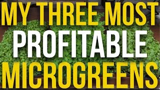 My 3 Most Profitable Microgreens [upl. by Damalis]