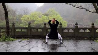 Authentic Wudang Tai Chi 28 [upl. by Brownson]