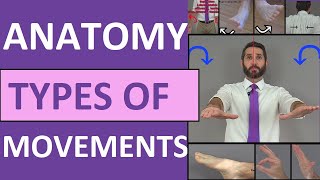 Body Movement Terms Anatomy  Body Planes of Motion  Synovial Joint Movement Terminology [upl. by Eiramnaej]