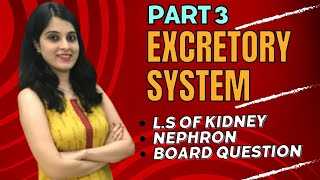 Understanding the Excretory System The Kidney and Nephron Explained  Biology Class 10  DRUB [upl. by Airpac]