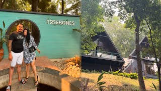 Treebones Resort  Glamping Villa  Lakuri Bhanjyang zaipningmavlogs [upl. by Irahk608]