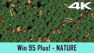 Windows 95 Plus Screensaver  Nature 4K [upl. by Yrtua]