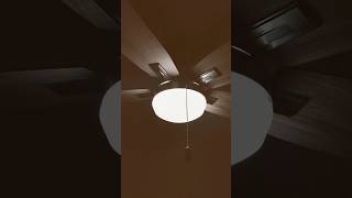 Ceiling fan in action funny amazing viral trending shortvideo fyp reel [upl. by Eiramllij]