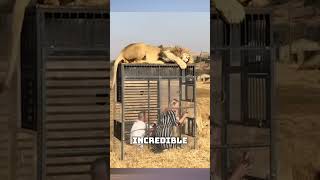 REVERSE ZOO Incredible Animal Encounters [upl. by Zandt]