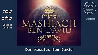 Mashiach Ben David [upl. by Ettezzil]