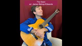 The Swan on guitar SaintSaëns [upl. by Wiseman]