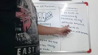 columnar epithelium tissue std9th cbse9th gseb std 9 chapter 6 [upl. by Kincaid141]