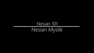 Nesian Mystik  Nesian 101 Lyrics [upl. by Recha277]